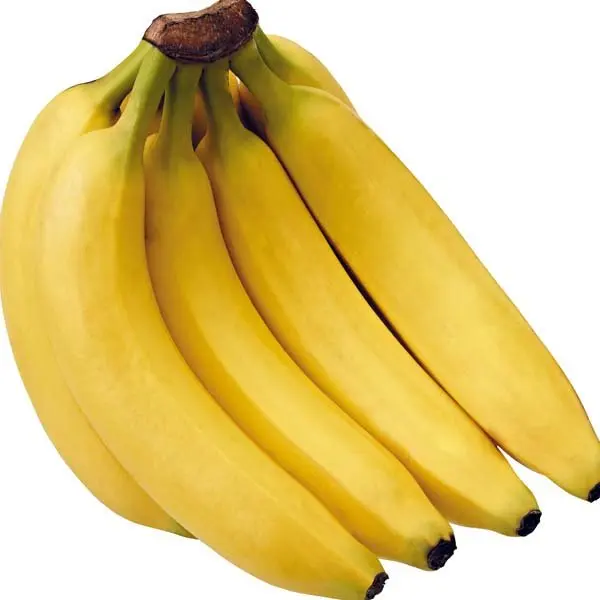 Fresh Cavendish Banana vietnam with high quality and best price for export cavendish banana ready to shipping EU, ASIA Market