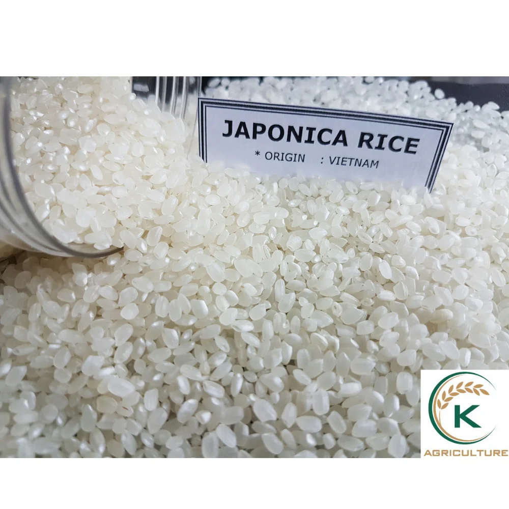[Vietnam] Best Selling of Highest Quality Japonica rice good Vietnamese rice Best Price rice japonica cheap 5% 10% Broken