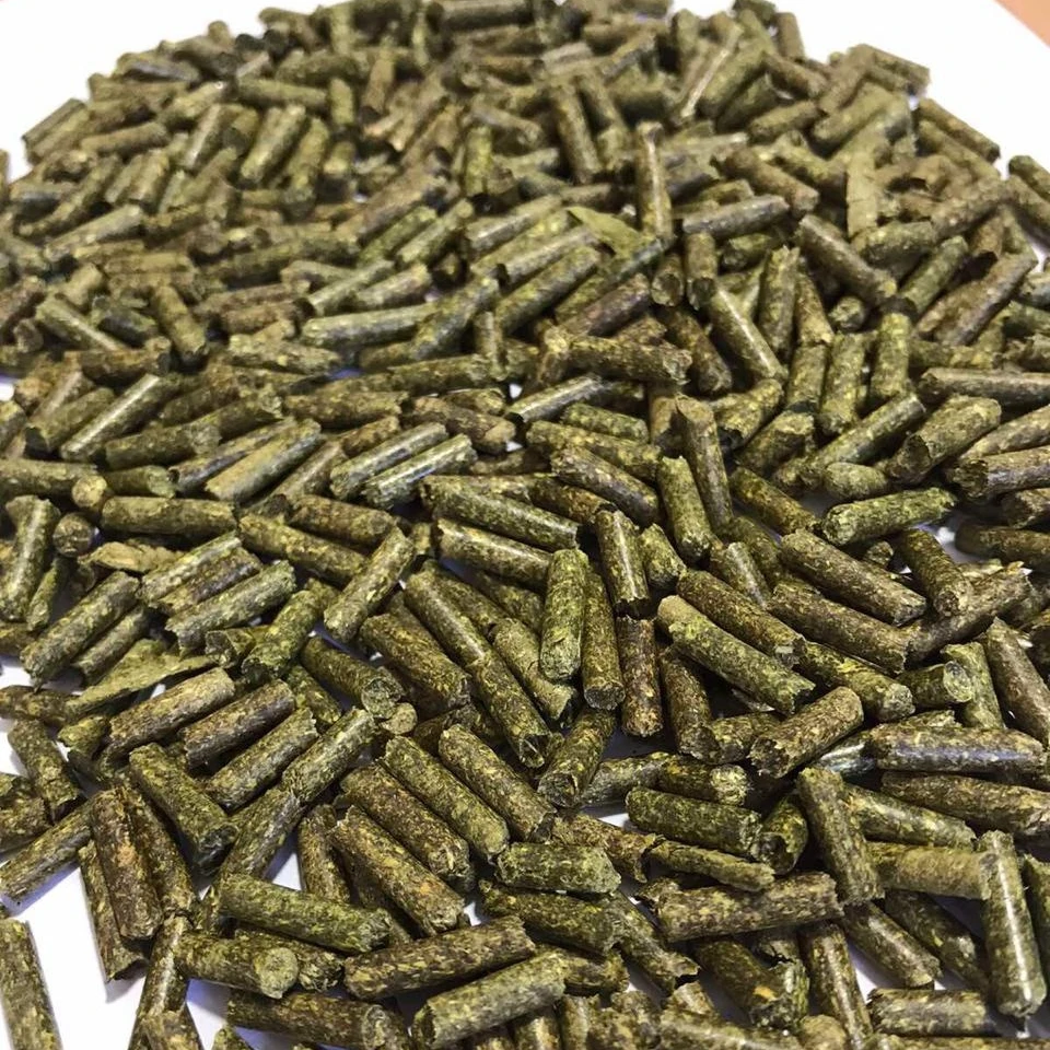 Alfalfa pellets dehydrated alfalfa grass hay animal feed