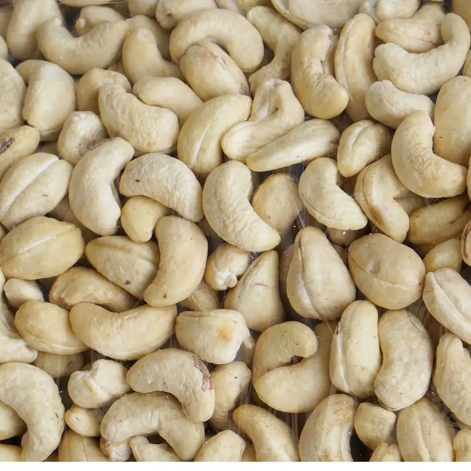 
Dried style and raw processing kind CASHEW NUTS BB 