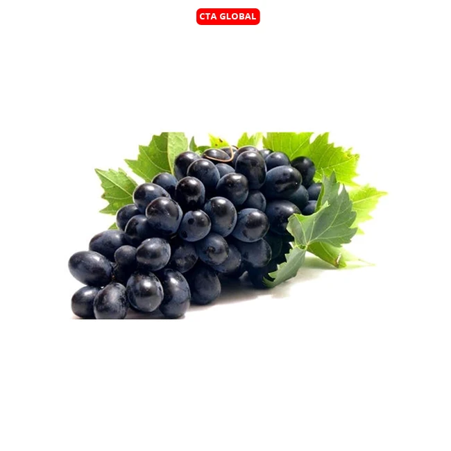 Premium Quality Sweet and Juicy Fresh Fruit Grapes at Bulk Price
