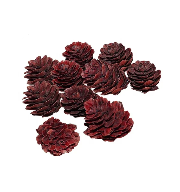Natural Dried Flower Glass ChristmasPine Cones For Christmas Tree Mother S Day Valentine S Day Christmas Thanksg Gifts for Women