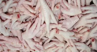 
Fresh Frozen Halal Chicken Quarter Leg /Chicken Drumstick Chicken Feet Top Supplier Bulk 