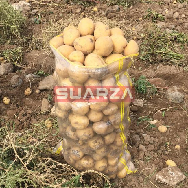  Свежий белый сладкий картофель мозика поставляется в Малайзию/Сертифицированный СВЕЖИЙ КАЧЕСТВЕННЫЙ по доступным ценам