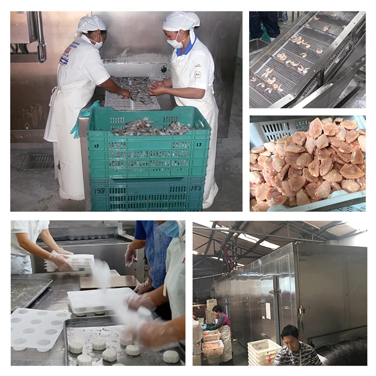 CE approved industrial blast freezers / iqf freezing machine / tunnel / freeze ice cream machine