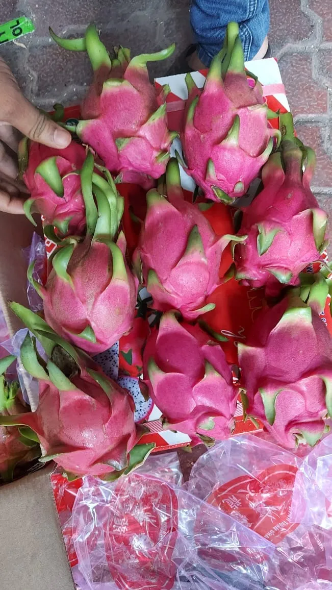 Свежие фрукты Pitaya свежие дракона из Вьетнама