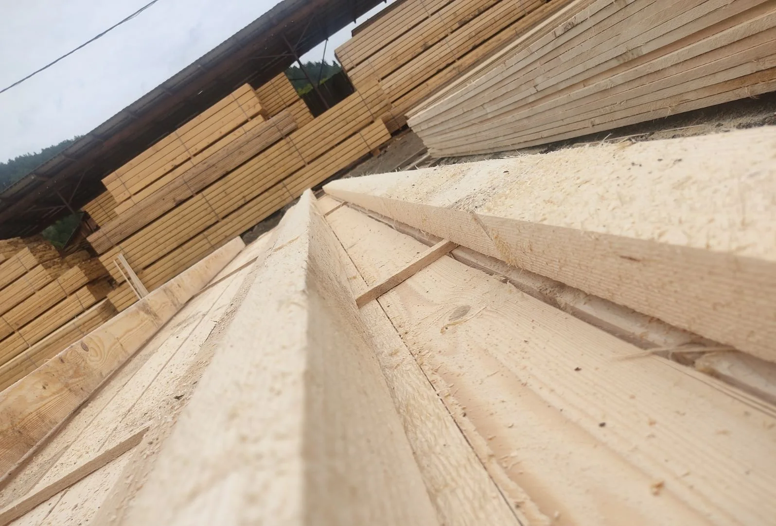 KD Spruce wood/ Pine Lumber / Oak / Ahs  25/ 50 mm Thick