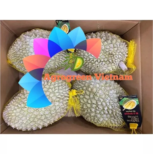 Premium Quality Frozen Durian Fruit From Vietnam Farmer Grow Bulk