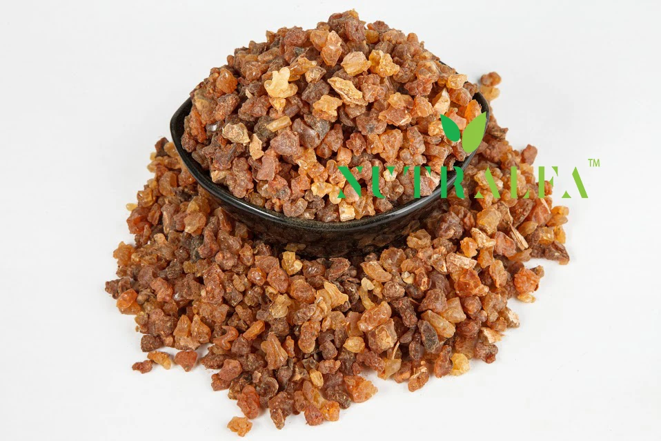 Gum Myrrh Premium Pea Size