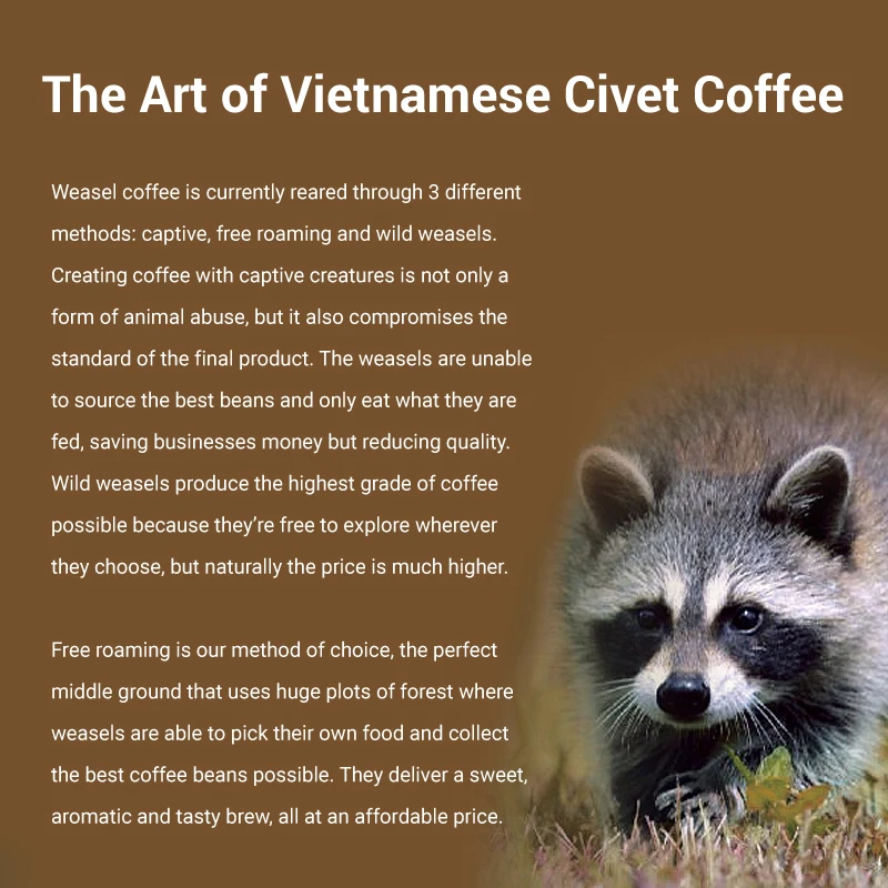 High Quality Robusta Double Roast Powder Vietnam Civet Coffee Kopi Luwak Weasel Coffee Free Roam Weasel 200g Ground Coffee