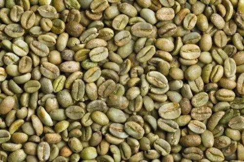 Good price arabica green coffee beans High Quality  Coffee By Vietnam Agri brand