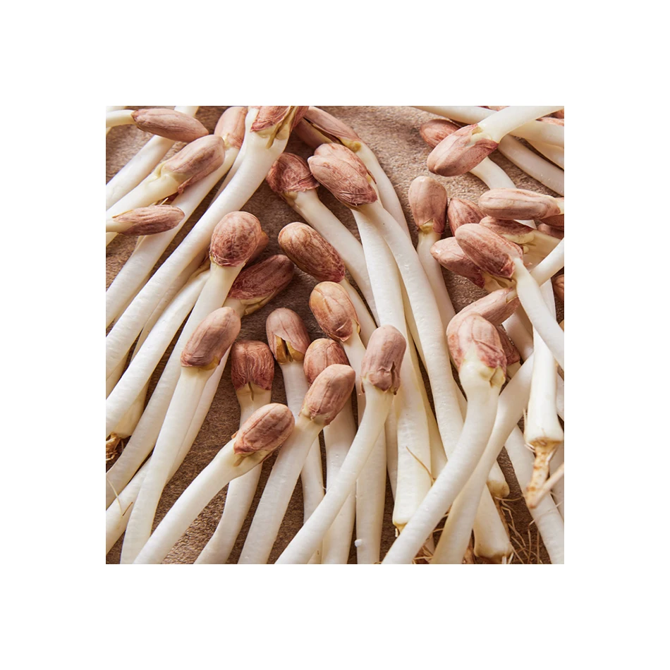 
Low salt peanut sprouts pickles spicy seasoning spices soup condiment 