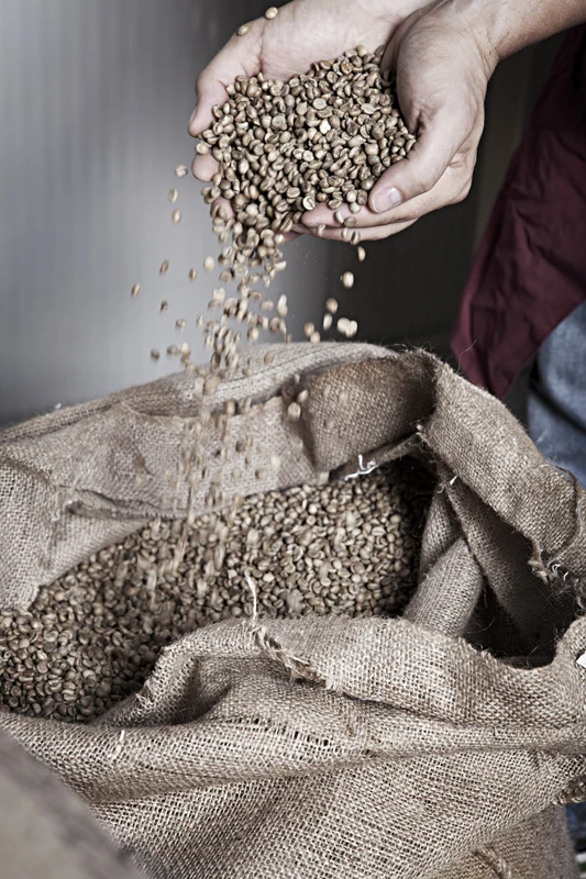 Espresso Italiano Caffe del Faro professional wholesale roasted coffee 250 gr. ground blend