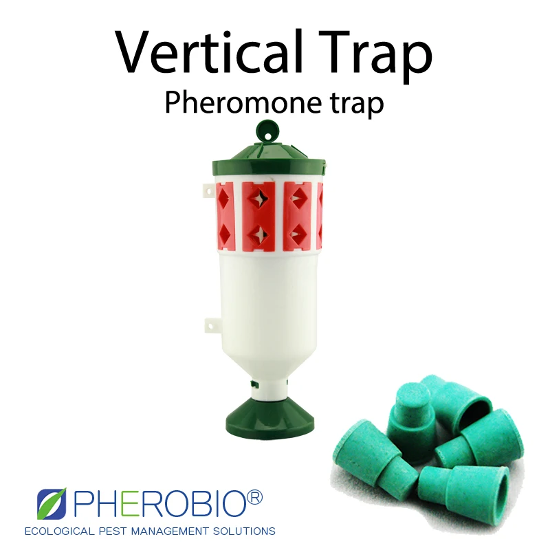 Beet armyworm Spodoptera exigua  pheromone lure pheromone trap