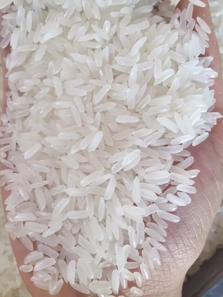 
Premium Organic ST24 Rice Best Award Rice Of 2019 From Vietnam 