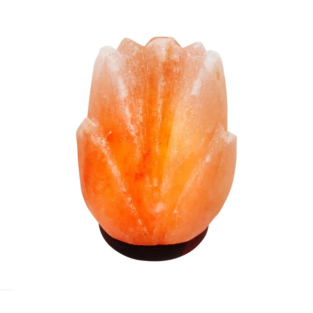 Hand Carved Flower made from the 250 million years old salt mined from the Himalayan Mountains-Sian Enterprises