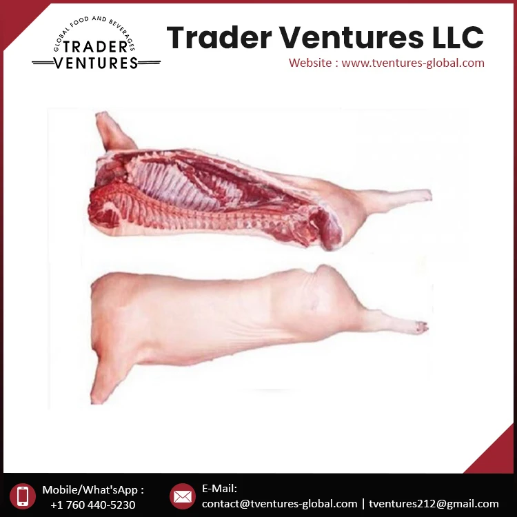 
High Quality Pork Carcass 2-Way Cut Supplier and Exporter 