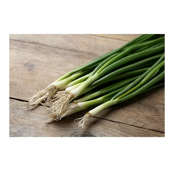 
100% Natural Quality Wholesale Supplier Of Fresh Vegetables Scallions At Cheap Price 