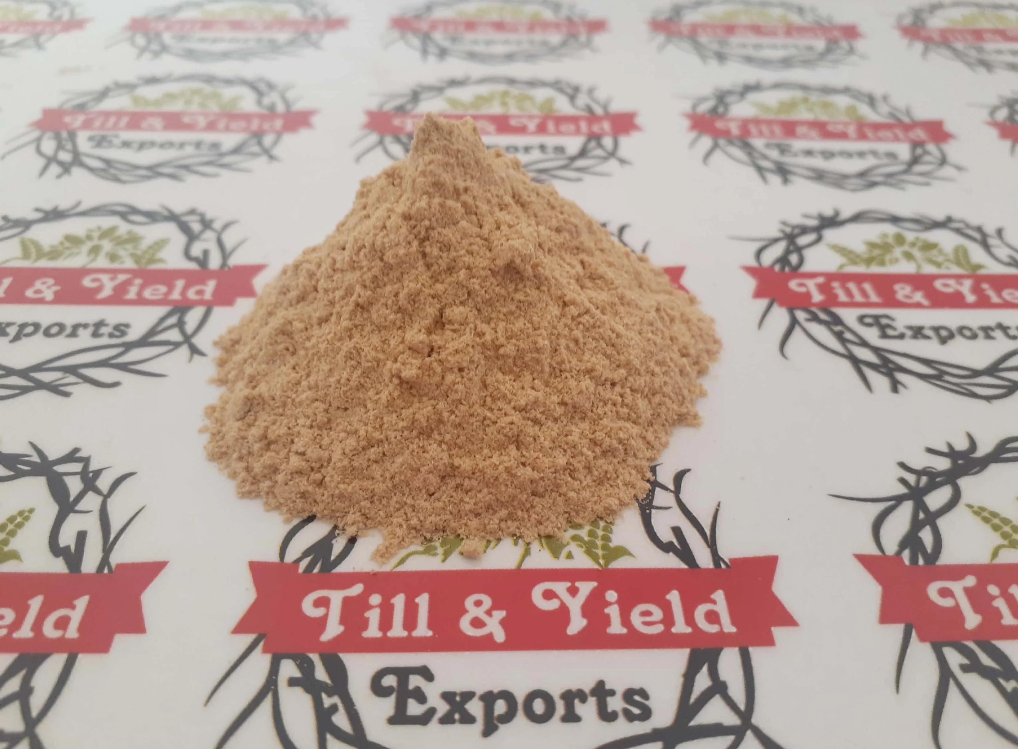 Premium Quality Garlic Powder Indian Kadha For Improve Immunity Compounds With Potent Medicinal Properties