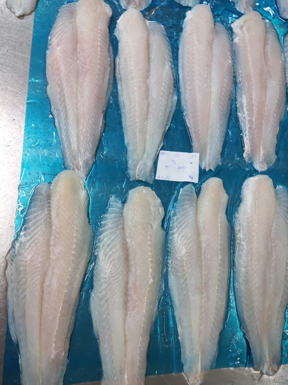 Pangasius fillet не Обрезанные лучшие морепродукты во