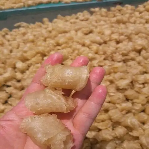 Высококачественная Сушеная Рыба желтая Кусачка сушеная рыба Корвина для приготовления супа