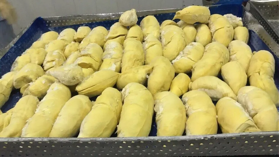 Оптовая продажа MONTHONG DURIAN высшего качества оптовая цена из Вьетнама/мисс Триш + 84 984 696 874