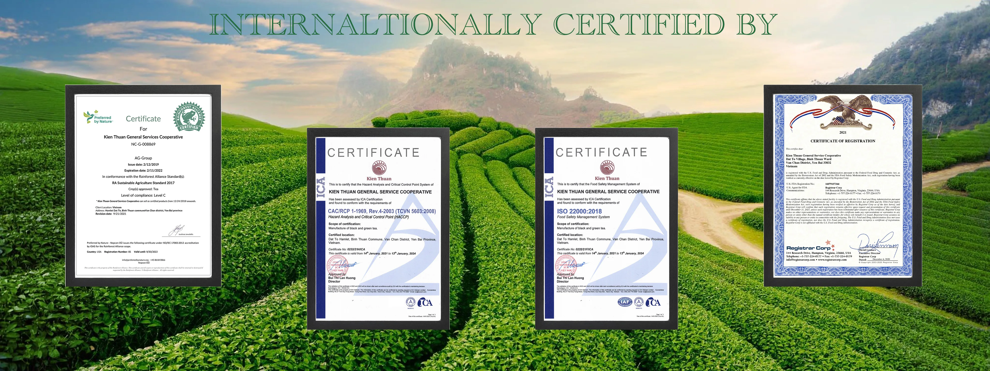 2021 crops - Competitive price - high quality premium orange pekoe OP black tea