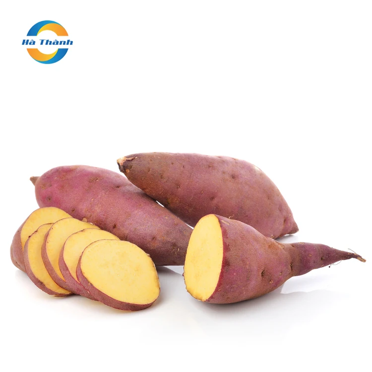 1 лучшая производительная продукция и низкая цена на экспорт филиппинских бананов