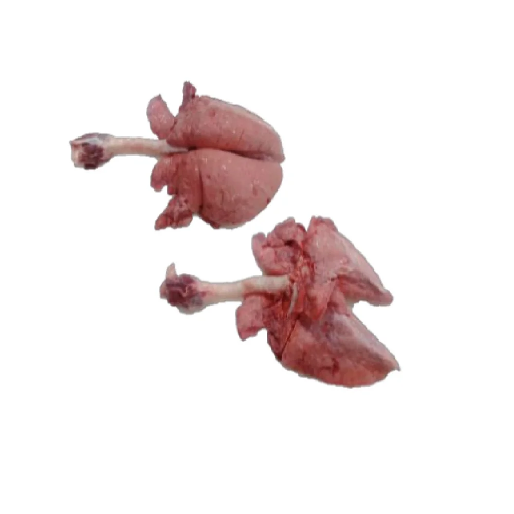 
High Quality Fresh Pork Lungs From Thailand And Good Price Frozen Meat Used For For Consumption 