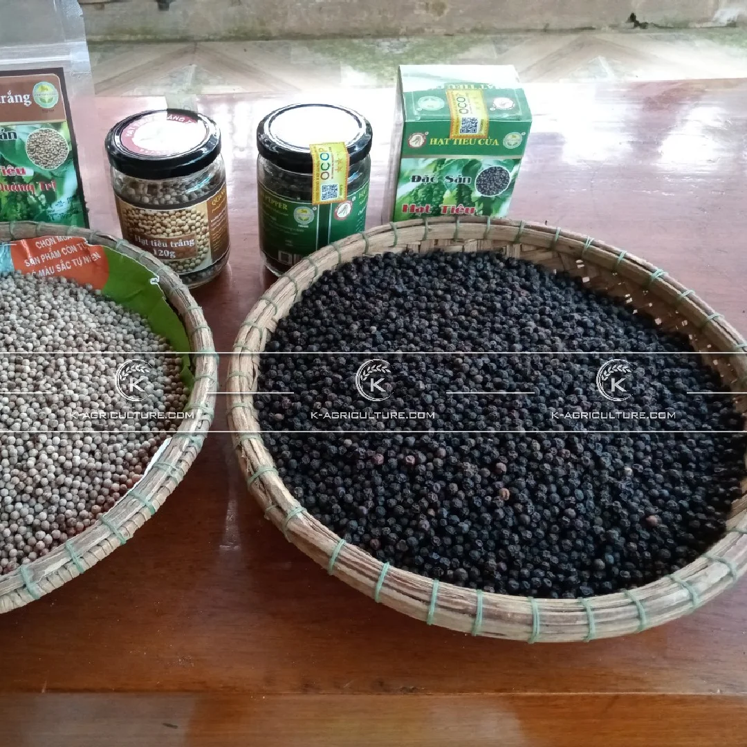  Лучшая цена черный перец Вьетнам готовый к отправке