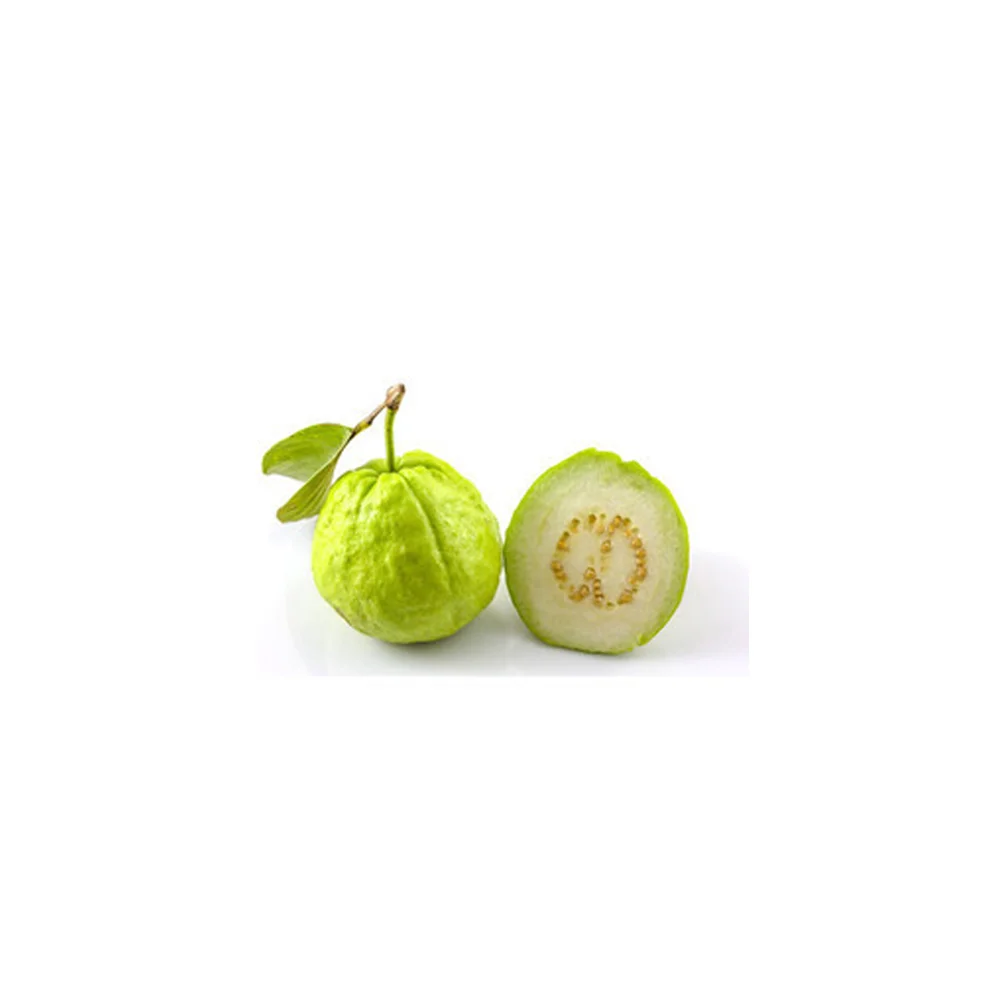 
Guava of Vietnam Green Premium Sweet Style Weight Skin Natural ORIGIN Type Shape Quality 