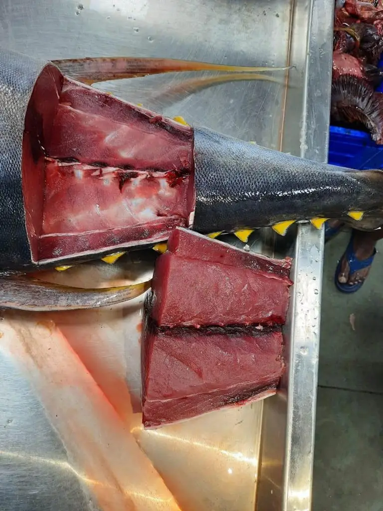YELLOW FIN TUNA CUT.jpg