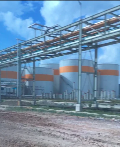 
High Quality - CPO - Crude Palm Oil 