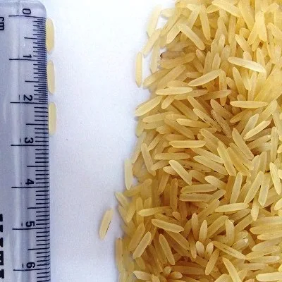 Продажа риса басмати GOLDEN SELLA