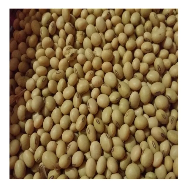  Натуральная соевая бобов еды для соевых продуктов IQF