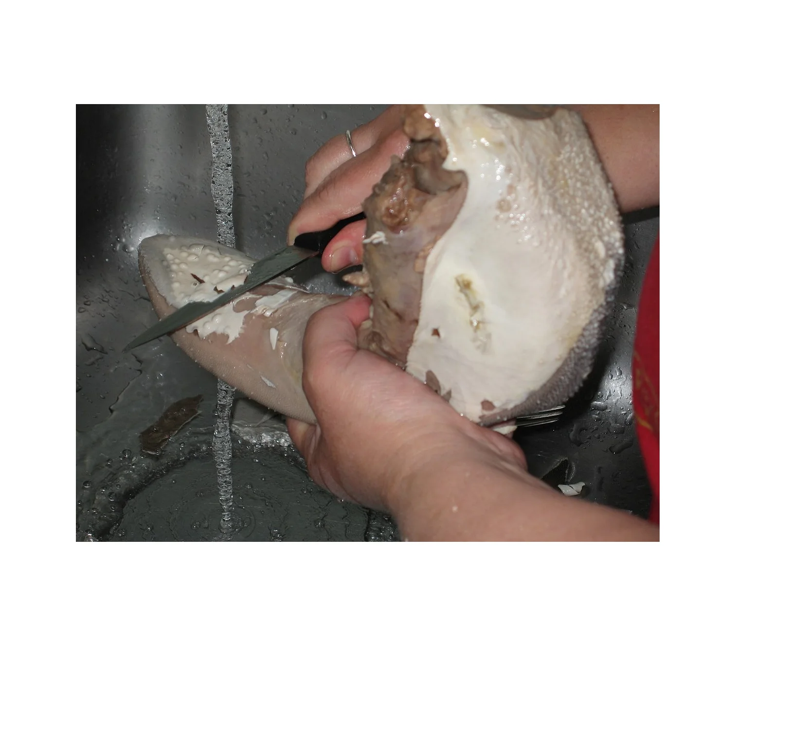 Best Quality Frozen Beef tongue For Sale In Cheap Price