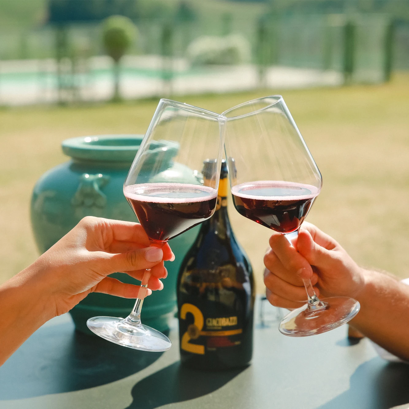 Italian red wine Lambrusco grasparossa from Modena 75 cl ready to export