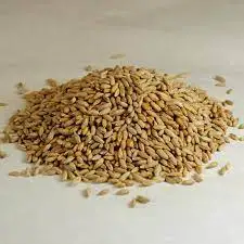 
Dried Whole Rye Grain & Rye Berries 
