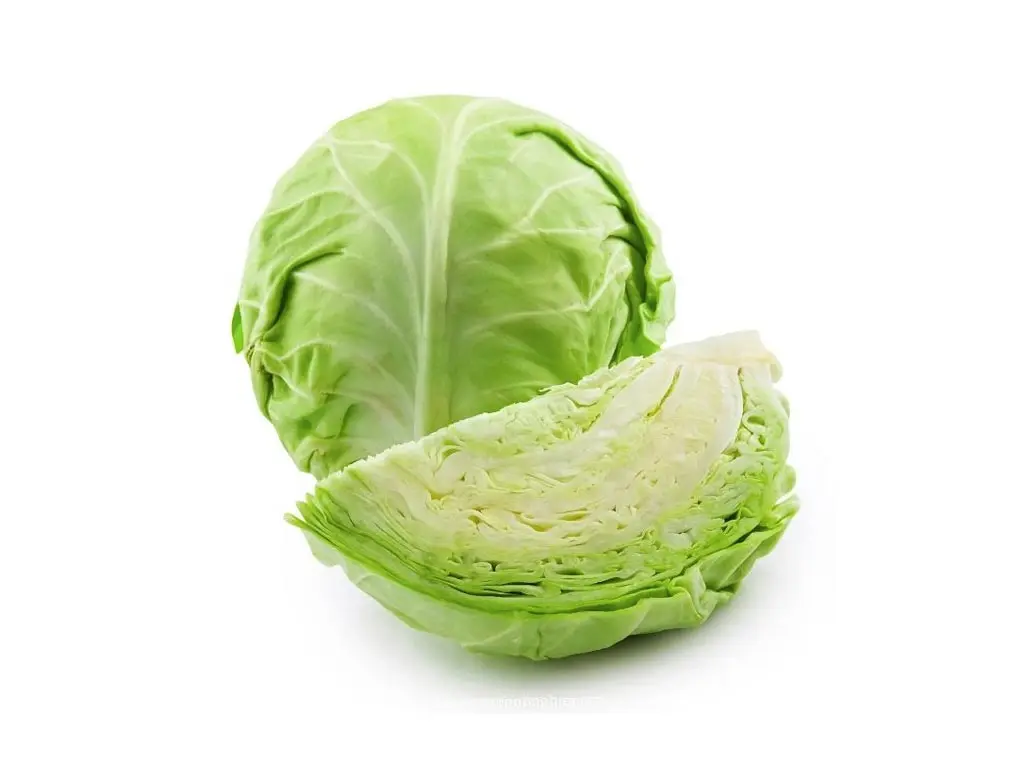 Лучшая цена с высококачественной свежей капустой из Вьетнама