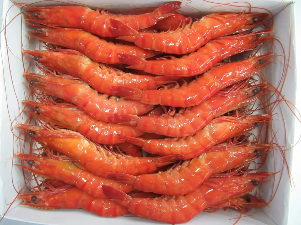 High quality Wholesale Raw HOSO Vannamei Shrimp Head On Shell On  Vietnam Fresh Seafood ready to ship, export