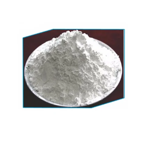 
Lactobacillus plantarum 