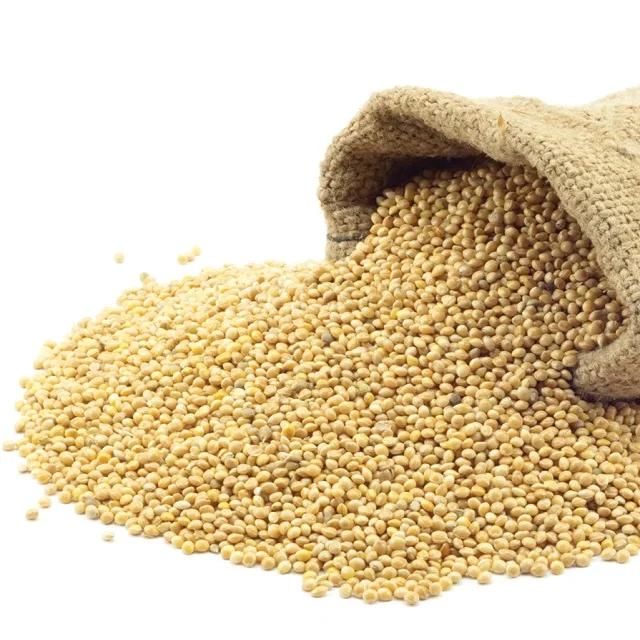 white millet 5.jpg