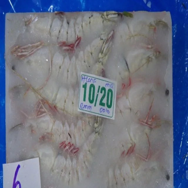 FRESH FROZEN HEAD ON SHELL ON FLOWER SHRIMP HOSO SHRIMP SEAFOOD PRODUCT AT HIGHEST MINIMUM ORDER QUANTITY