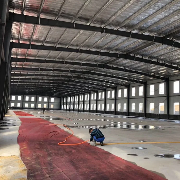 Low price prefabricated steel frame building for warehouse / workshop / hangar