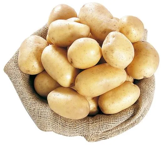 supplier fresh new crop vegetables wholesale potato price
