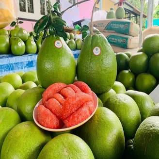 Свежий Pomelo TubTim Siam Премиум качество