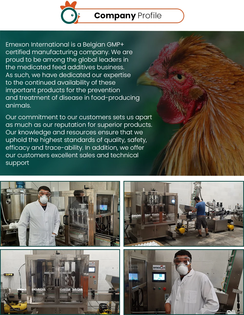 company-profile.jpg