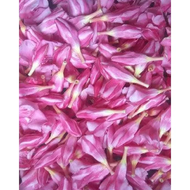 Arali Poo Fresh Nerium oleander Flowers Pink color red and white Arali Flower Buy Fresh Flower at best price
