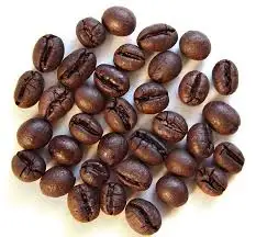 
Arabica Coffee Bean Green for Jordan Market ROBUSTA COMMON 