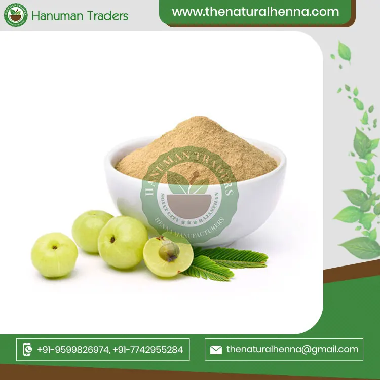 100% Natural Organic Indian Gooseberry Amla Powder For Hair Bulk Supplier From India